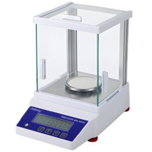 Precision Balance
